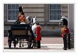 Trooping the Colour 123